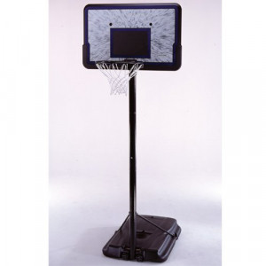 basketball hoop lifetime portable
