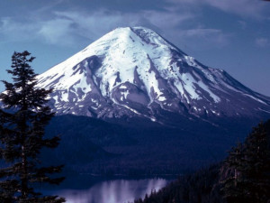 Akashic Aisles: The Basement View