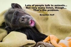 Quotes About Saving Animals