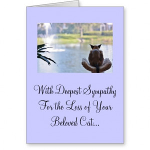 Cat Sympathy Cards & More