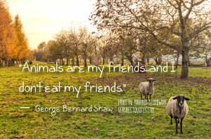 Vegetarian Quotes - Animals are my friends...and I don't eat my ...
