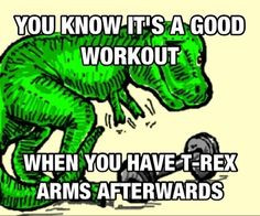 ... Funny You know it's a good workout when you have t-rex arms afterwards