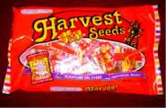 Harvest Seeds - Candy Corn
