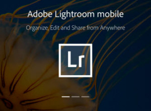 Adobe Lightroom Mobile (for iPad)
