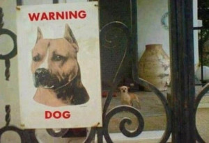 20 Examples of Misleading Signs