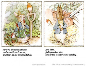 The Tale of Peter Rabbit by Beatrix potter