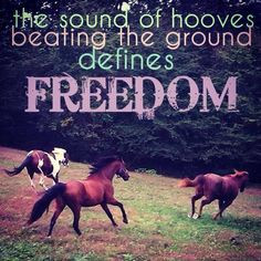 Horse and rider sayings