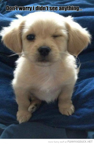 funny pics pictures pic picture image photo images photos lol humor