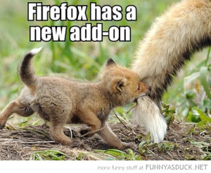 baby fox cub biting tail animal firefox new add on funny pics pictures ...