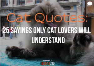 Cats Quotes About Love