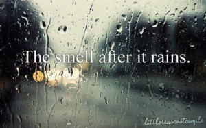 the smell after it rains