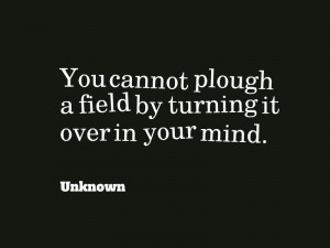 You cannot plough a field by turning it over in your mind ...