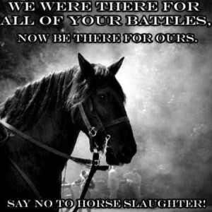 partner with the animals that I own... And i am so ANTI SLAUGHTER ...