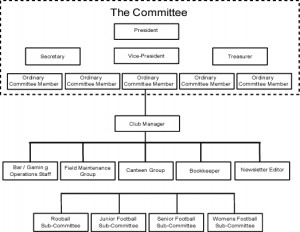 Non Profit Organization Structure Chart