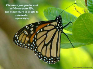 Oprah quote the more you praise and celebrate your life the more there ...