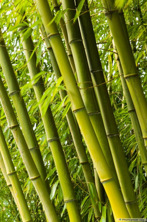 Beauty in Nature – Landscape Scenes | Amazing Photos