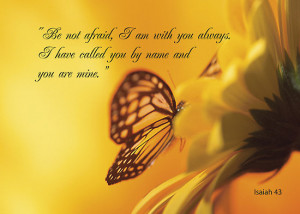 ... › Portfolio › Be Not Afraid, Butterfly Flower, religious