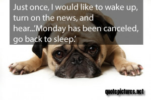 Cute Quotes, Funny Quotes About Monday: It Has Been Canceled