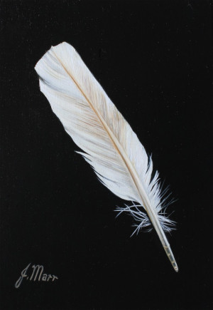 White Feather Movement And