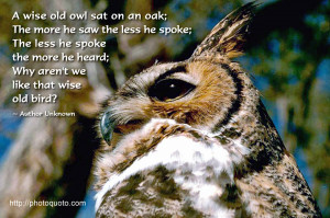 Wise Owl Quotes Sayings. Everyday Quotes From Unknown Authors. View ...