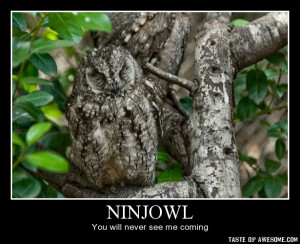 Found on tasteofawesome.com