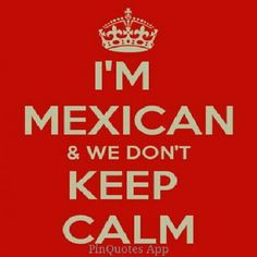 Mexican Problems Quotes Mexican quotes - google search