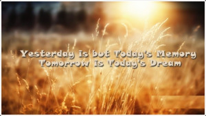 Funny Quotes Contact Dmca...