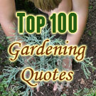 ... list of garden quotes poems excerpts some catchy gardening sayings