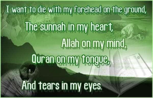 Inspirational Islamic Quotes: 4/25/10 - 5/2/10