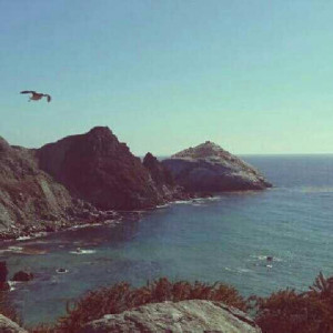 beach, beautiful, cute, love, pretty, quote, quotes, sea breeze