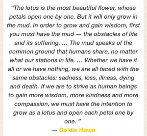 Goldie Hawn quote in lotus flowersAwesome Quotes, Hawn Quotes, Lotus ...