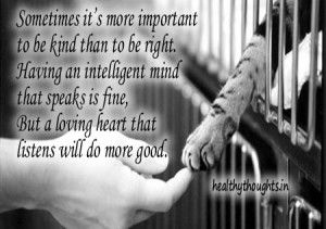 sometimes it s more important to be kind than to be right