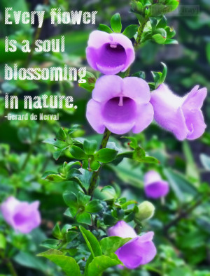 Every Flower Is a Soul Blossming In Nature ~ Flowers Quote