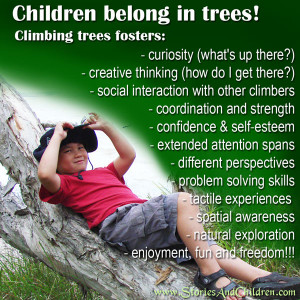 11 Great Reasons for Climbing Trees: