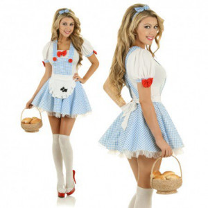 ideas wizard of oz dorothy costumes child dorothy wizard of oz costume
