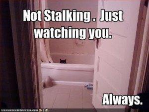 Have you ever had a stalker?