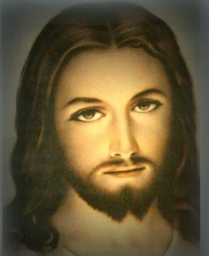 Aw, look, he's so meek! And very mild!