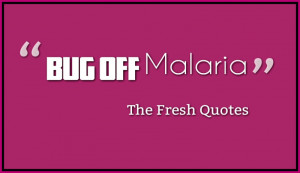 Malaria Quotes – Mosquito Quotes and Slogans