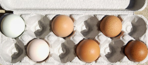 view original image )