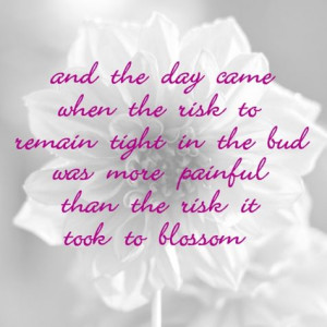 Home | anais nin quotes Gallery | Also Try: