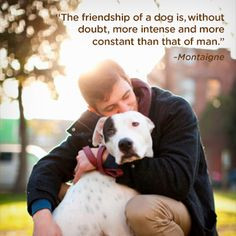 ... more boxer puppy quotes dog friendship quotes dogs quotes true