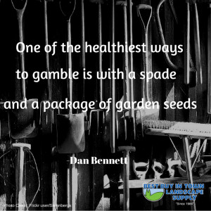 What are some of your favorite quotes and sayings about gardening and ...