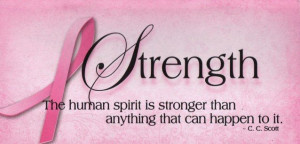 ... Breast Cancer Awareness Inspirational Pocket Planner 2013-2014