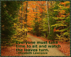 time to sit and watch the leaves turn elizabeth lawrence