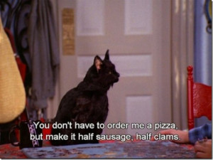 The Silly Cat from Sabrina the Teenage Witch [30 Photos]