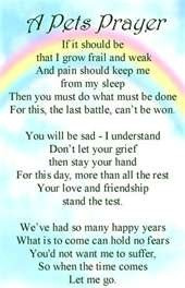 Found on images.search.yahoo.com