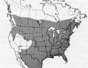 Whitetail Deer Management Home Range