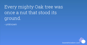 the mighty oak was once a little nut that stood its ground