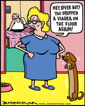 Stupid Jokes Archive