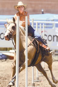 Awesome Pole Bending Picture Image